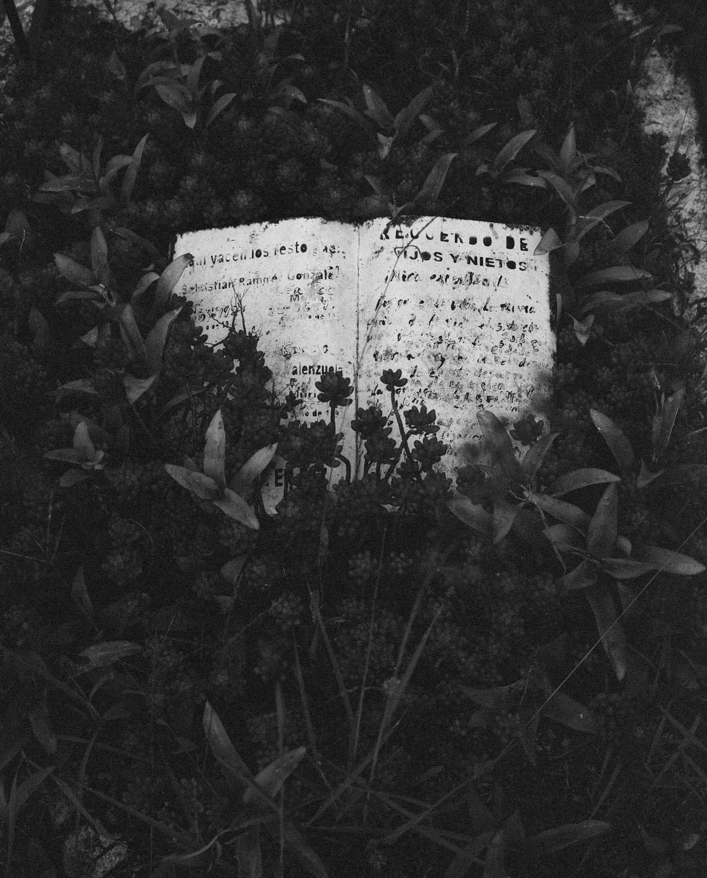 mex_bw_005