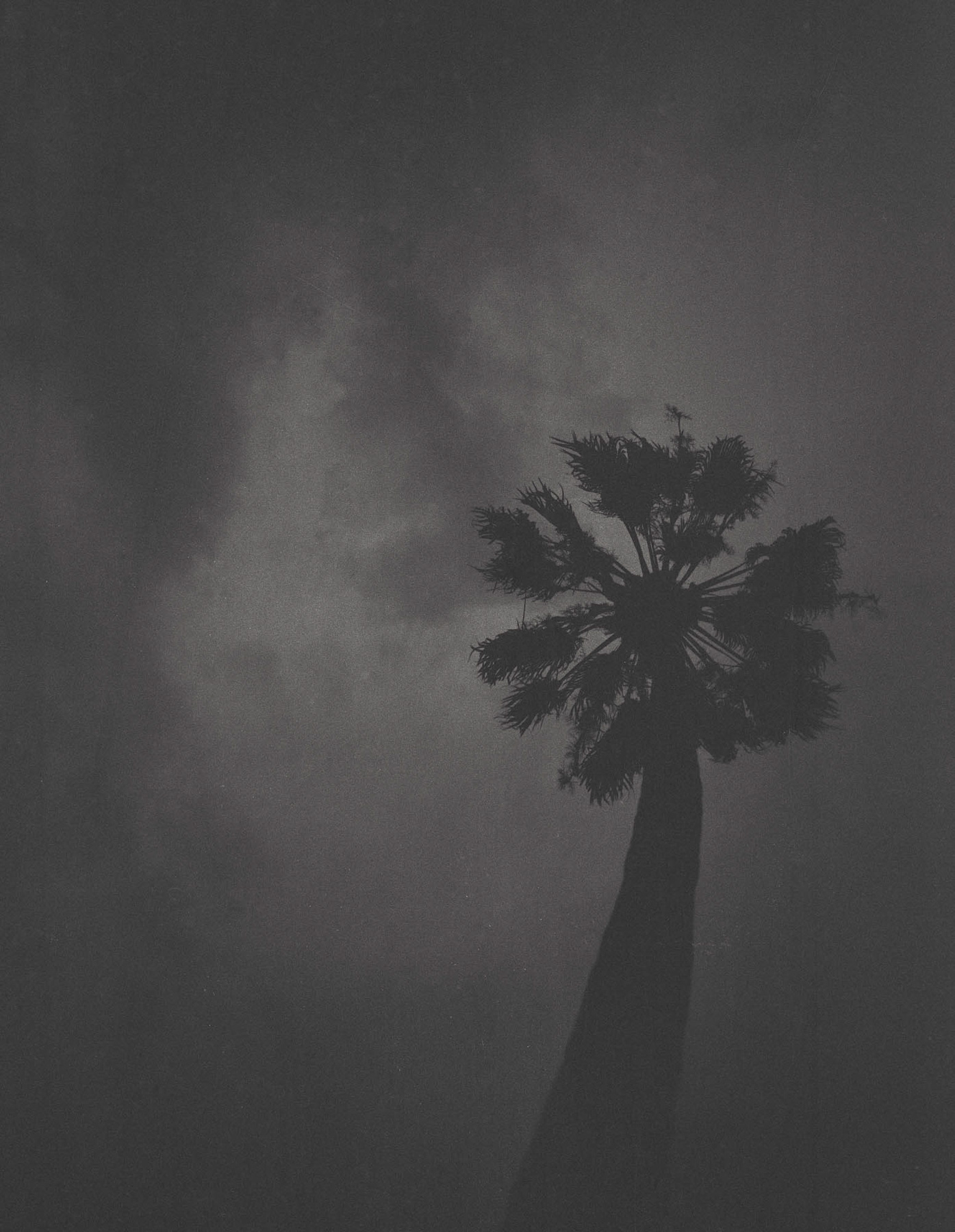 mex_bw_028